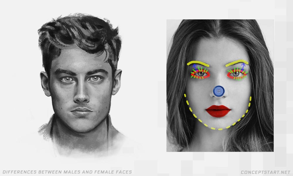 differences-between-male-female-faces