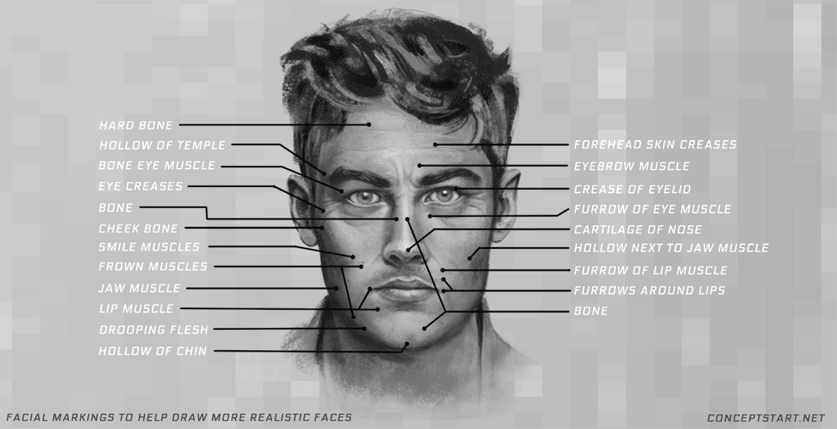 Drawing & Shading the human Face